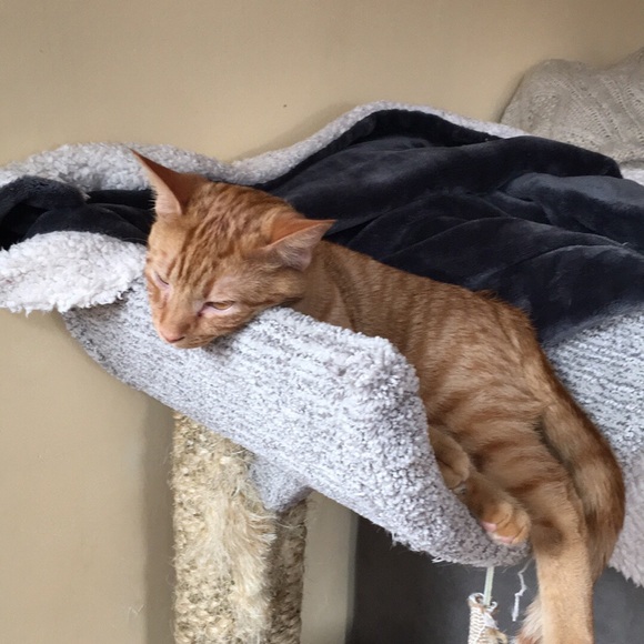 Meet your Posher, Megan - Picture 1 of 1